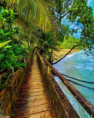 /album/fotogaleria-karibik-island-hopping-zajazd-vy-a-my/trinidad-a-tobago-jamajkanita-69-jpg/